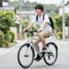 折りたたみで持ち運べるペルテックtdn-212lのイメージ
